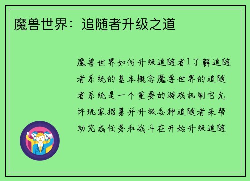 魔兽世界：追随者升级之道